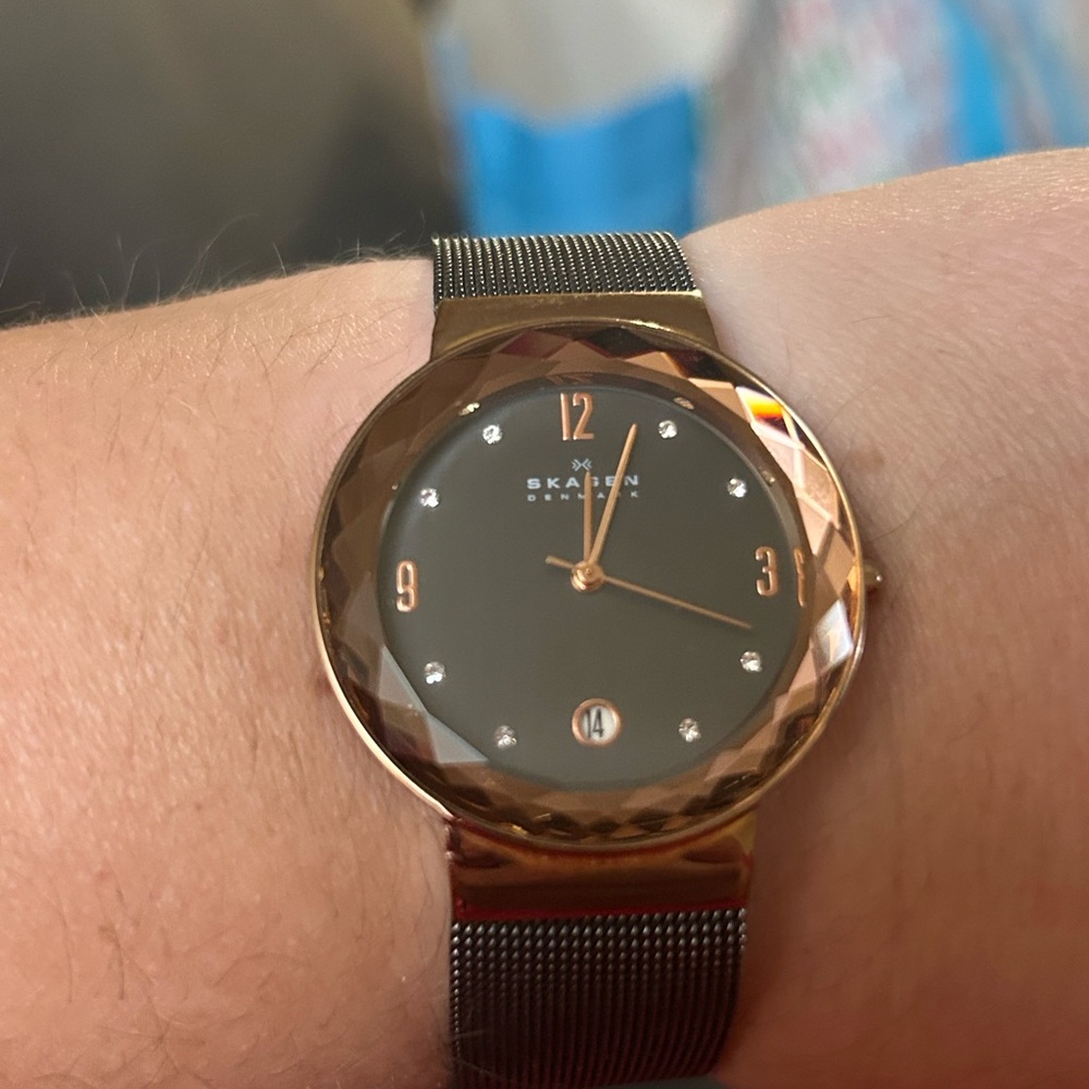 Skagen Black Dial with Gold Accents